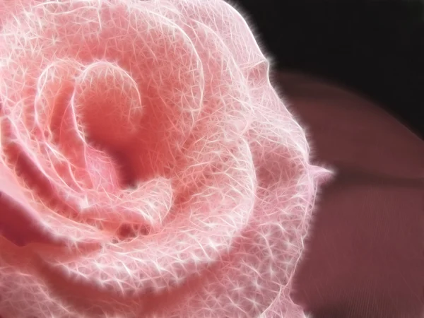 螺纹的玫瑰 — 图库照片