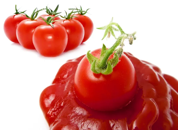 토마토 세트 — 스톡 사진