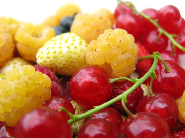 Fresh Berry Mix — Stock Photo, Image