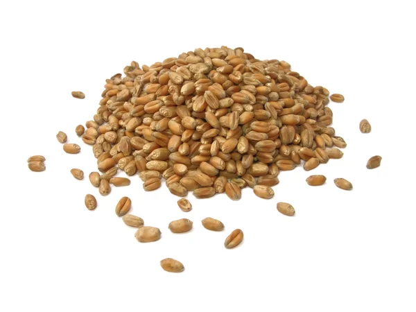 Cereali di frumento — Foto Stock