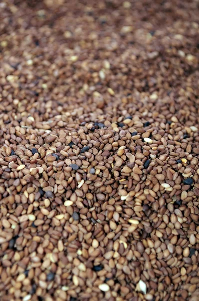 Tan Sesame Seeds — Stock Photo, Image