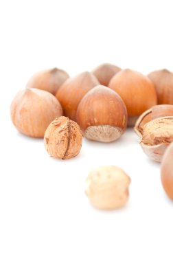 Hazelnuts clipart