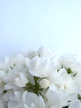 Bouquet of White Jasmine clipart