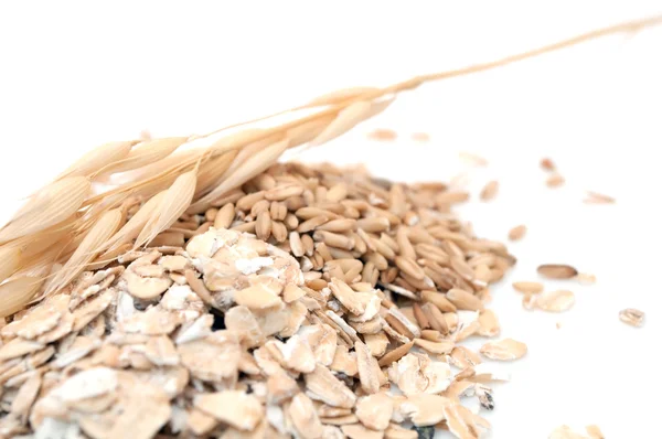 Oat Grains and Oat Flakes — Stock Photo, Image