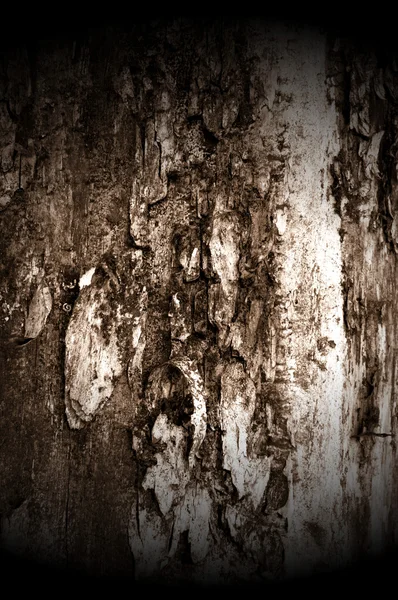 Тёмная текстура дерева — стоковое фото