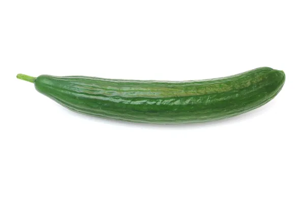 Čerstvá zelená okurka — Stock fotografie