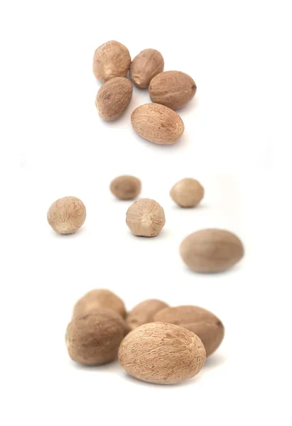 Sada muškátové ořechy — Stock fotografie