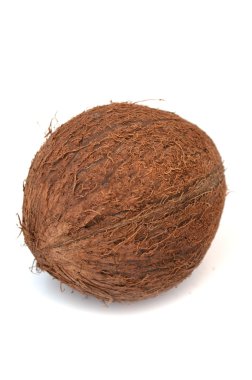 Coconut clipart