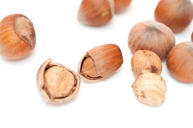 Hazelnuts clipart