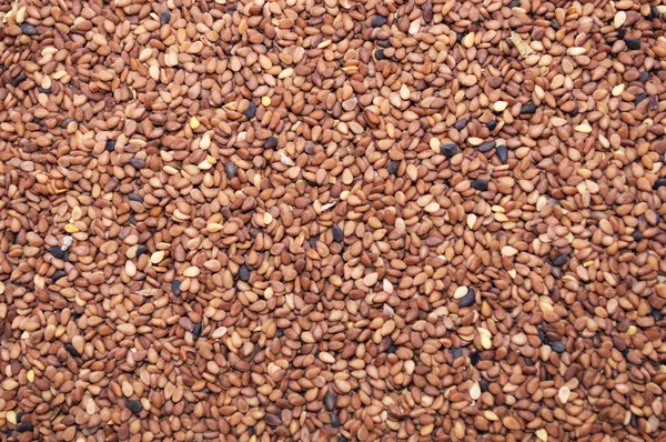 Tan Sesame Seeds — Stock Photo, Image