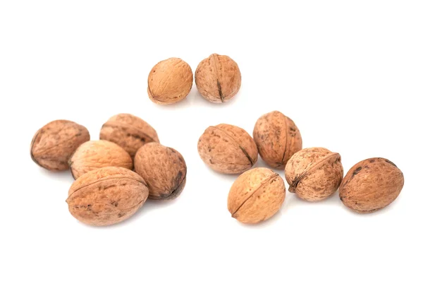 Set of Walnuts — Stock Photo, Image