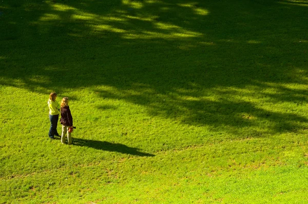 在草地上，两个女人 图库图片