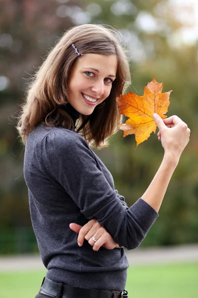 Осенняя красотка — стоковое фото