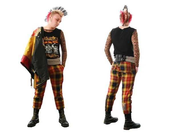 stock image Punk