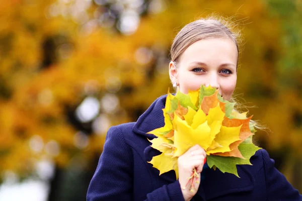 Herbstschönheit — Stockfoto