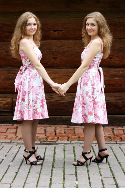 Tweeling van zus in roze jurk — Stockfoto