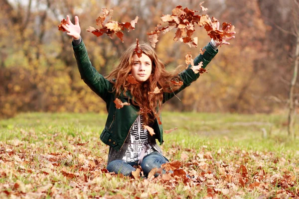Herbstblattfall — Stockfoto