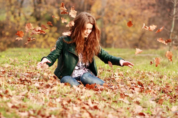 Outono folha cair — Fotografia de Stock
