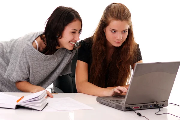 Two young women warking in office — Stock Photo, Image