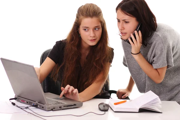 Two young women warking in office — Stock Photo, Image