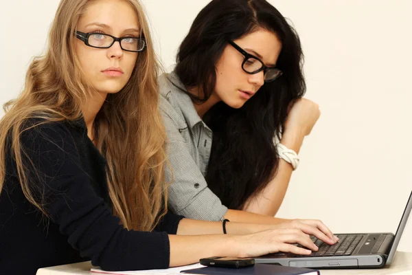 Iş kadınları laptop ile çalışma — Stok fotoğraf