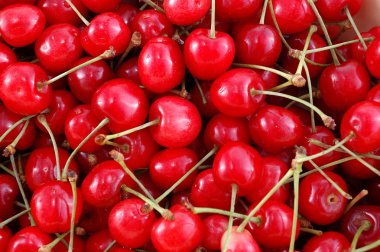 Red cherry clipart