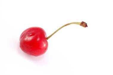 Red cherry clipart