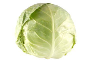 Green cabbage clipart