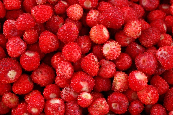 सफेद पार्श्वभूमीवर लाल स्ट्रॉबेरी — स्टॉक फोटो, इमेज