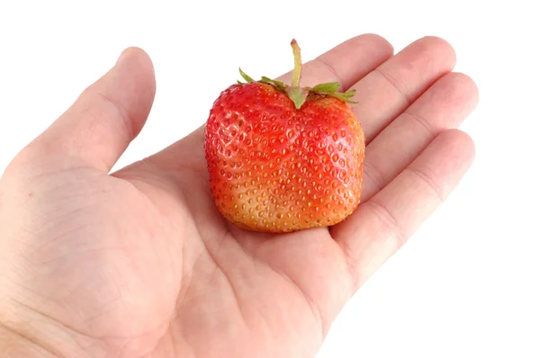 लाल स्ट्रॉबेरी — स्टॉक फोटो, इमेज