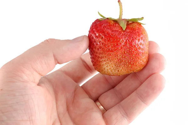 빨간 딸기 — 스톡 사진