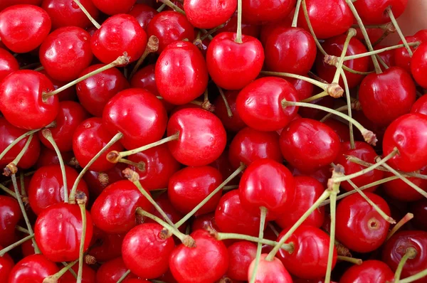 Red cherry Stock Picture