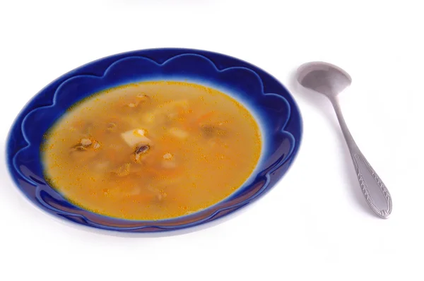 stock image Soup in a dish