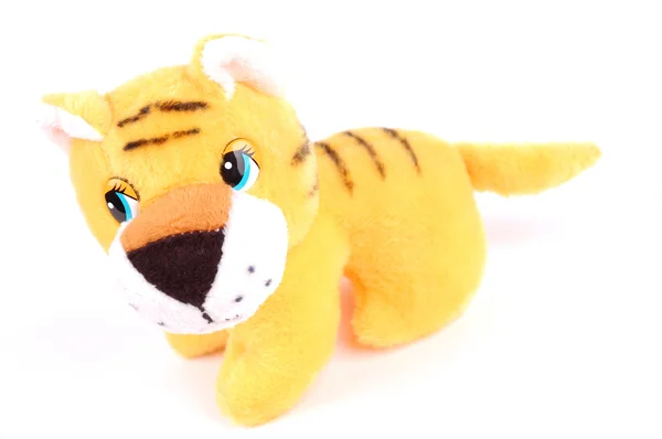 Fluffy little tiger — Stock Photo, Image