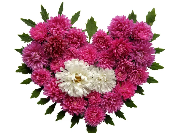 Floral heart — Stockfoto