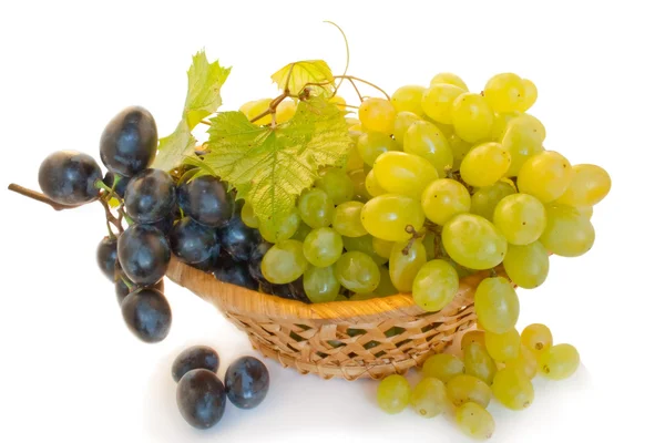 Winogron w kosz — Zdjęcie stockowe