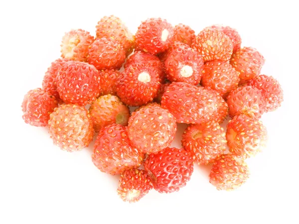 Forestry strawberries — Stock Photo, Image