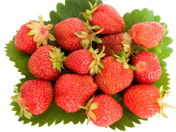 叶子上的草莓 — 图库照片