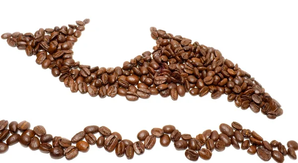 Kahve yunus — Stok fotoğraf