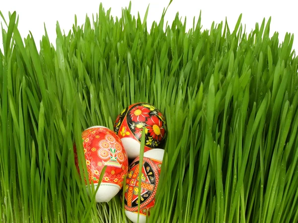 Los huevos de Pascua en la hierba en un blanco —  Fotos de Stock