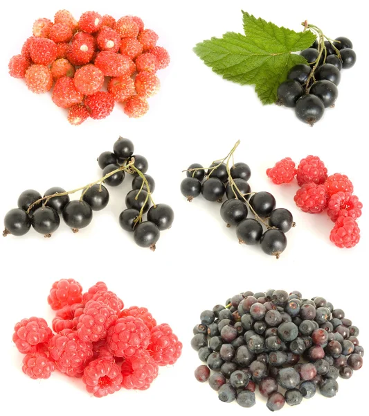 Frutas misturadas — Fotografia de Stock