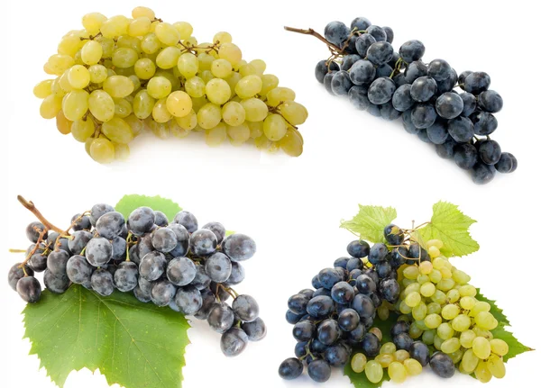 Mixed grape — Stock Photo, Image