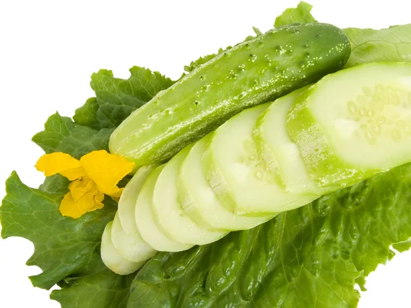 Cucumbers 1 — Stock Photo, Image