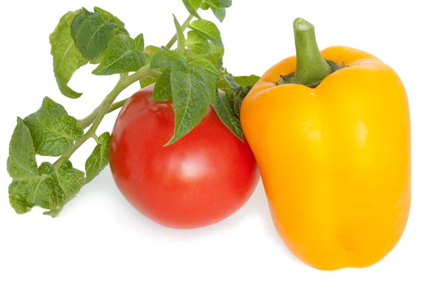 토마토와 후추 — 스톡 사진