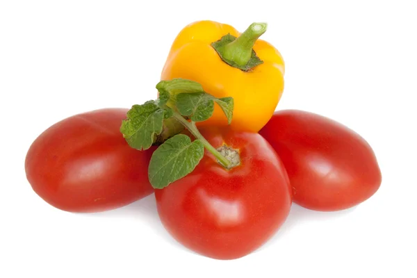 토마토와 고추 — 스톡 사진