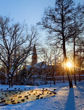 Helsinki park with pond clipart