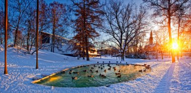 Helsinki park su birikintisi ile