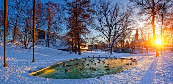 Helsinki park met vijver — Stockfoto