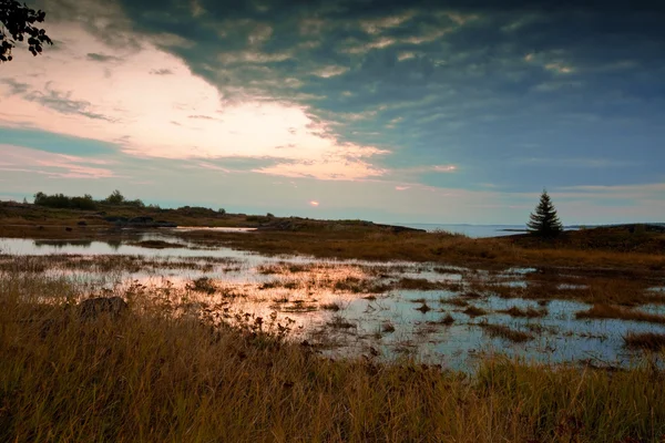 Stock image Autumn Lake in the morning