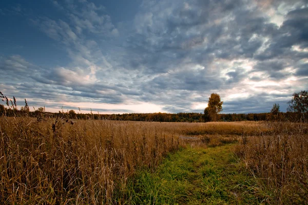 Jesień pole — Zdjęcie stockowe